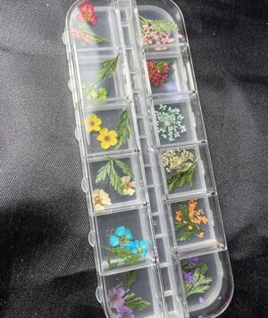 85D2DEA3-1635-49AF-A3B9-AB764AF7C7BB