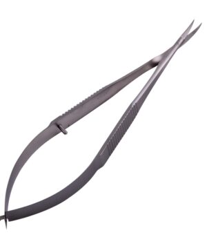 WhatsApp Image 2025-04-29 at 5.37.04 PM